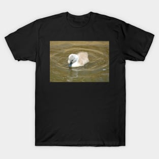 Little Swan Wondering T-Shirt